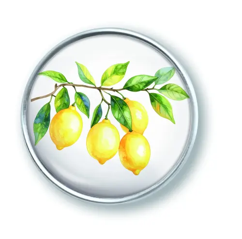 Artikelbild des Artikels “qles Click Zitronen Zweig “