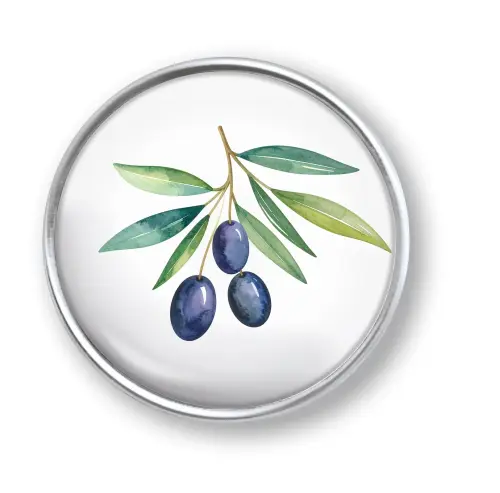 Artikelbild des Artikels “qles Click Oliven Zweig schwarze “