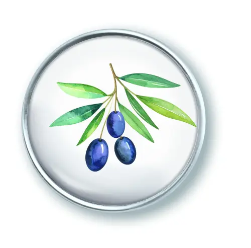Artikelbild des Artikels “qles Click Oliven Zweig schwarze “