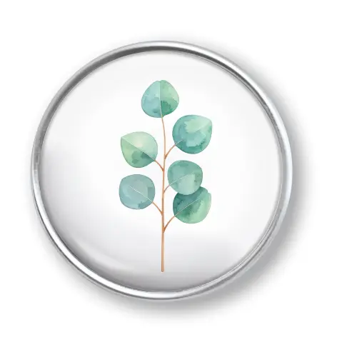 Artikelbild des Artikels “qles Click Eukalyptus grün “