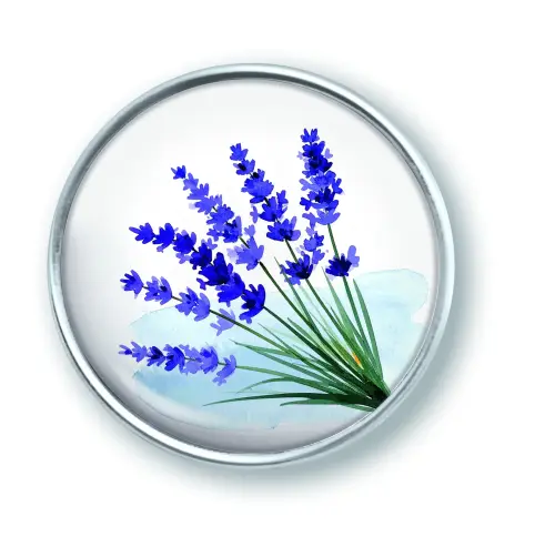 Artikelbild des Artikels “qles Click Lavendel Zweige lila “