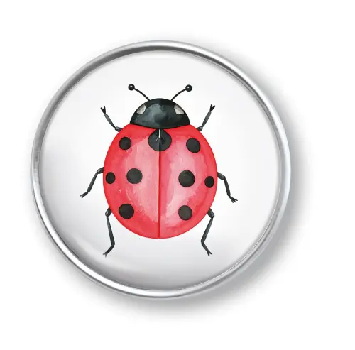 Artikelbild des Artikels “qles Click Marienkäfer rot/schwarz “