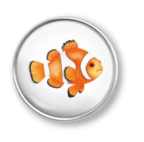 Artikelbild des Artikels “qles Click Clown Fisch “
