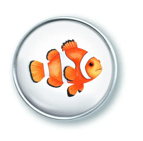 Artikelbild des Artikels “qles Click Clown Fisch “