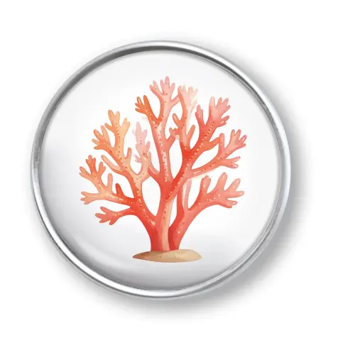 Artikelbild des Artikels “qles Click Koralle orange “
