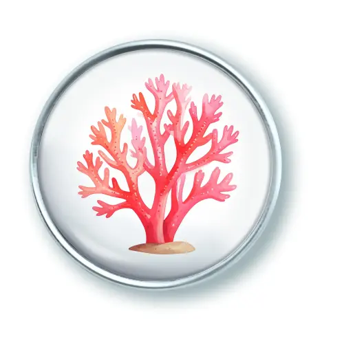 Artikelbild des Artikels “qles Click Koralle orange “