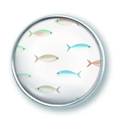 Artikelbild des Artikels “qles Click Fische Schwarm zart “