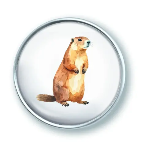 Artikelbild des Artikels “qles Click Murmeltier braun “
