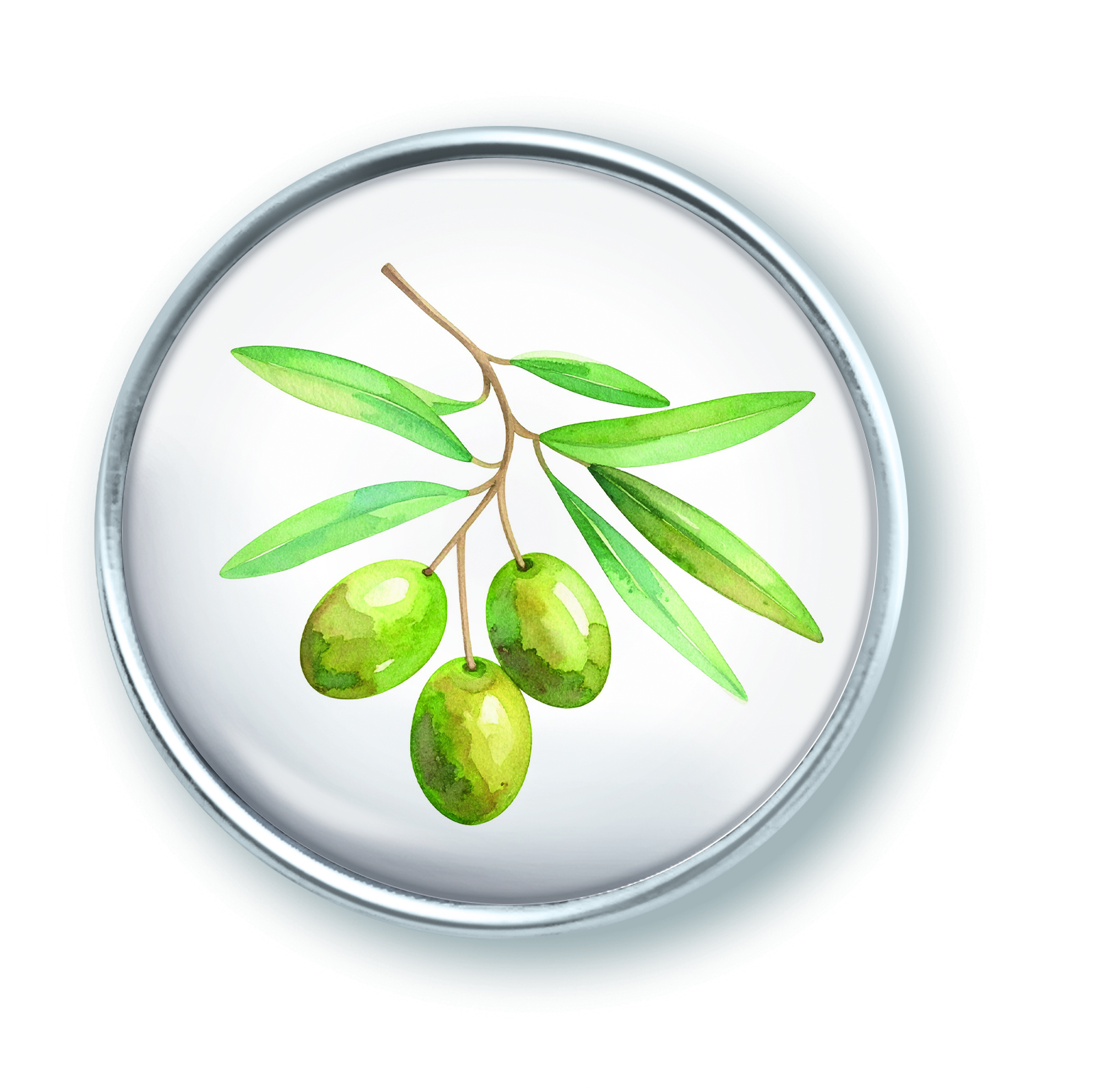 Artikelbild 1 des Artikels “qles Click Oliven Zweig grüne “