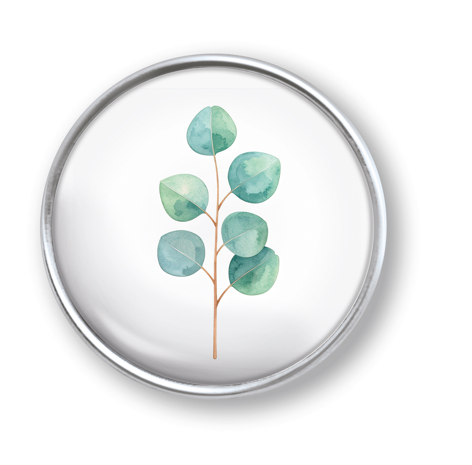 Artikelbild 1 des Artikels “qles Click Eukalyptus grün “