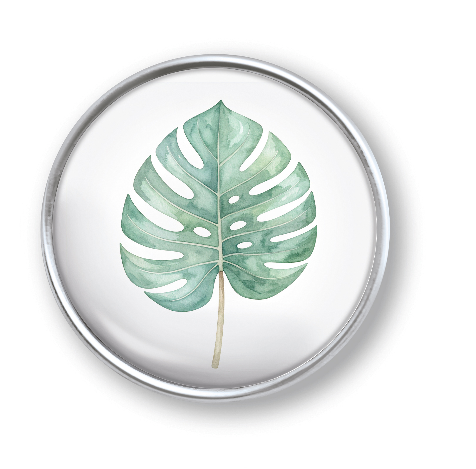 Artikelbild 1 des Artikels “qles Click Monstera Blatt grün “