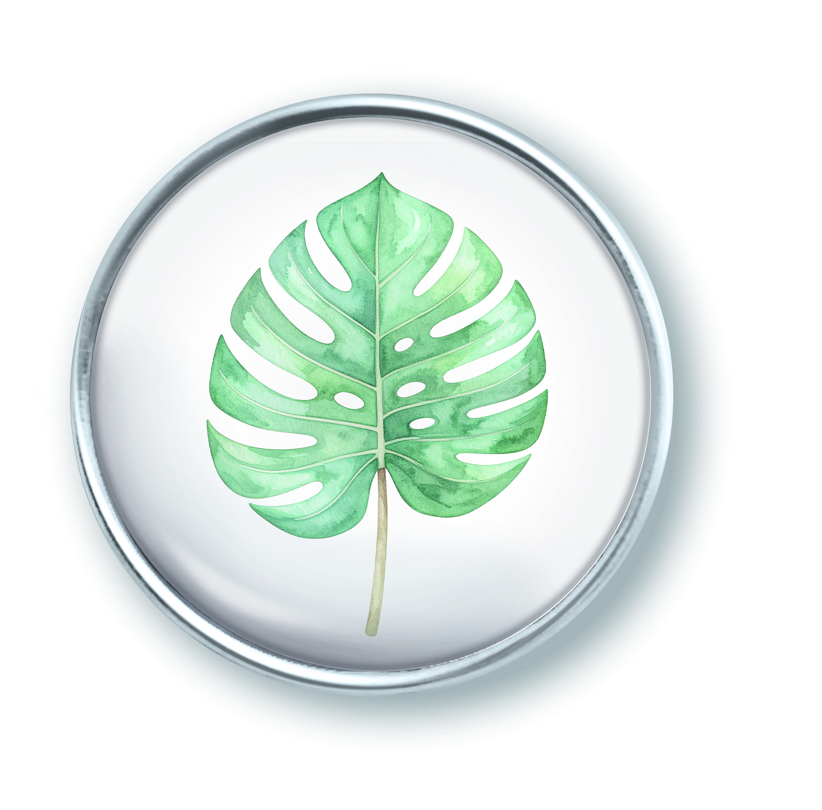 Artikelbild 1 des Artikels “qles Click Monstera Blatt grün “