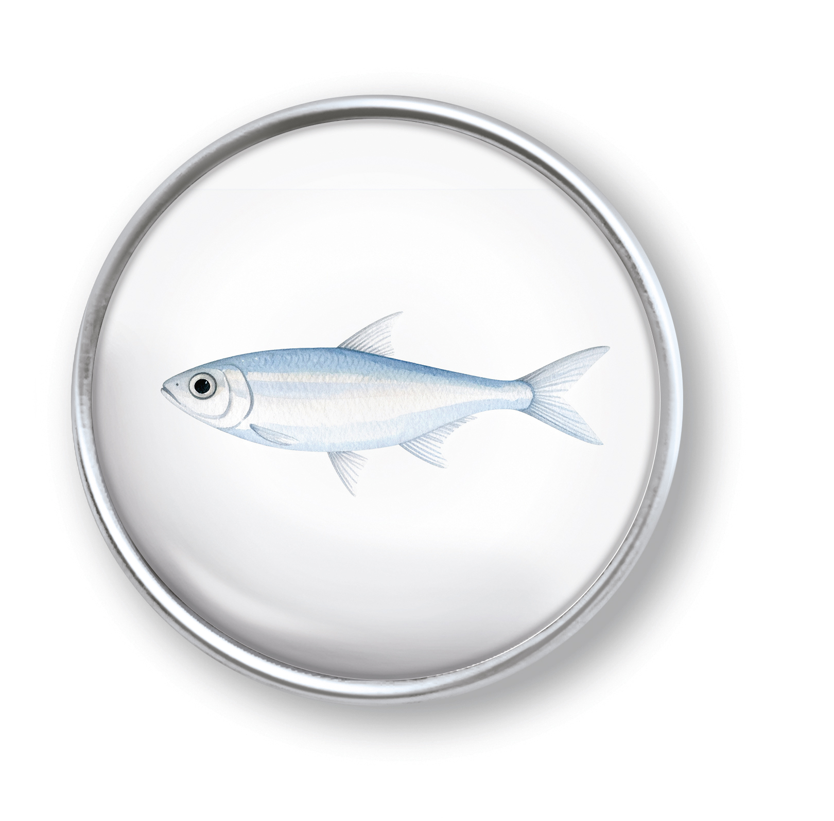 Artikelbild 1 des Artikels “qles Click Fisch hell “