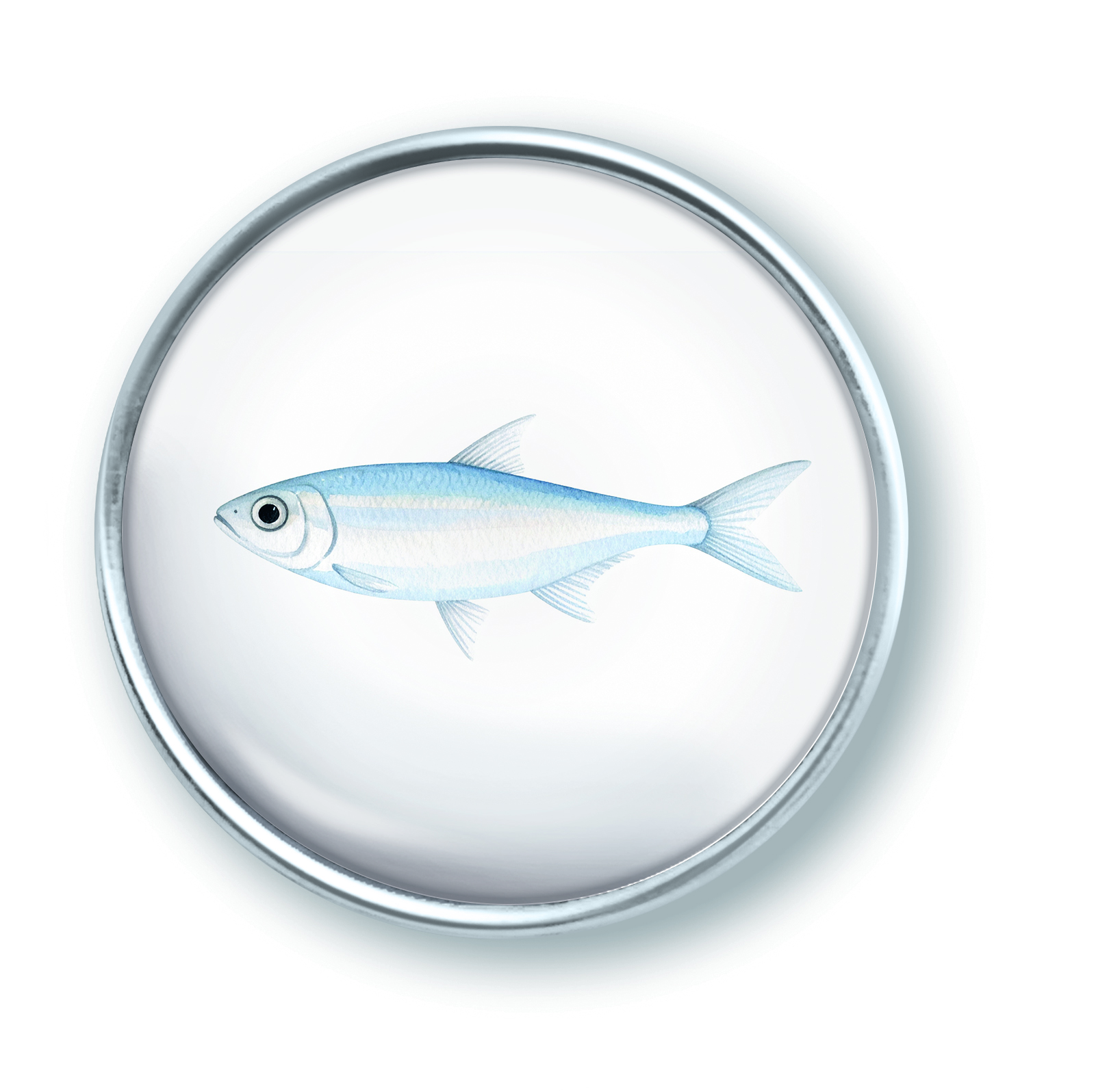 Artikelbild 1 des Artikels “qles Click Fisch hell “