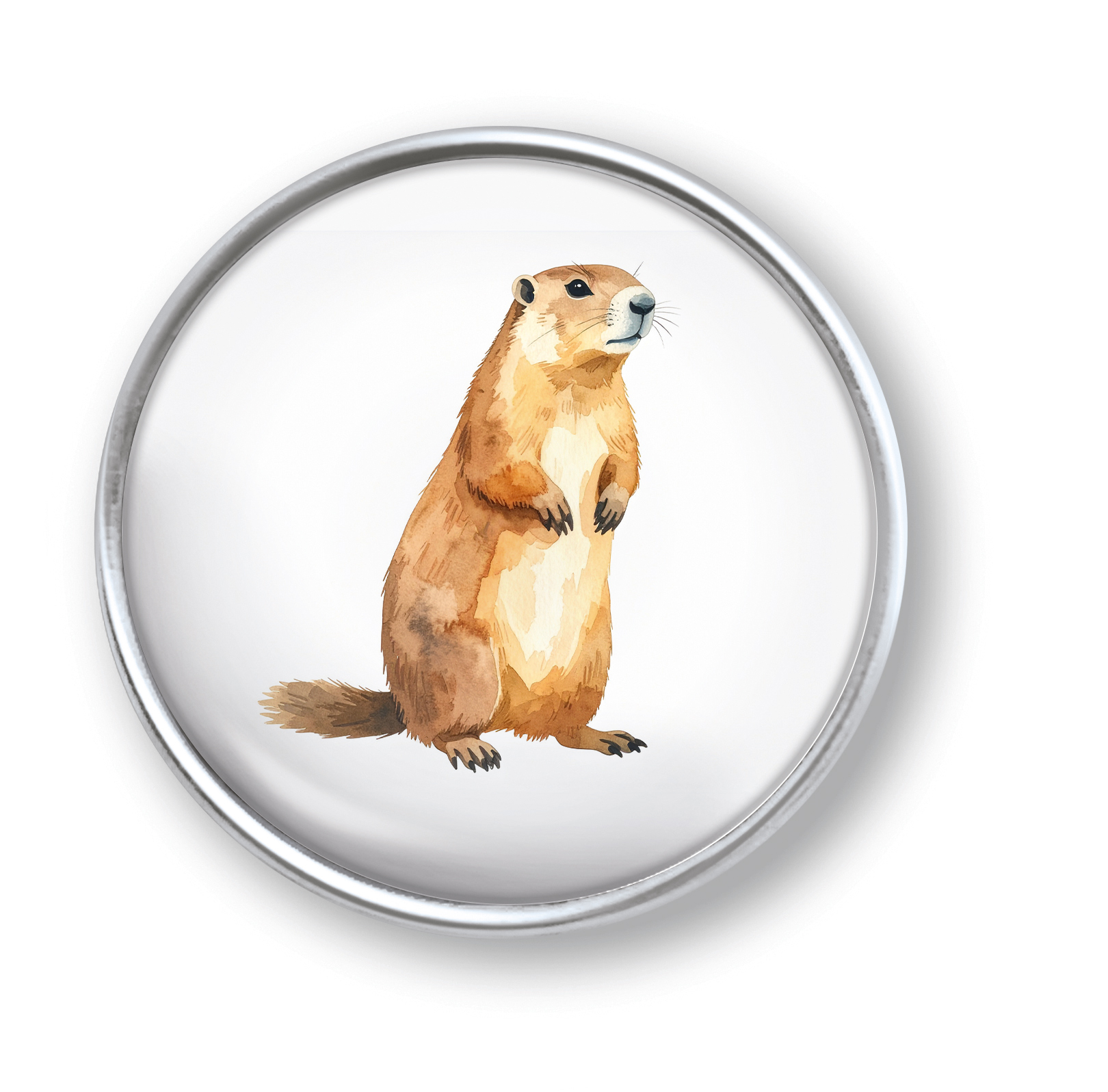 Artikelbild 1 des Artikels “qles Click Murmeltier braun “