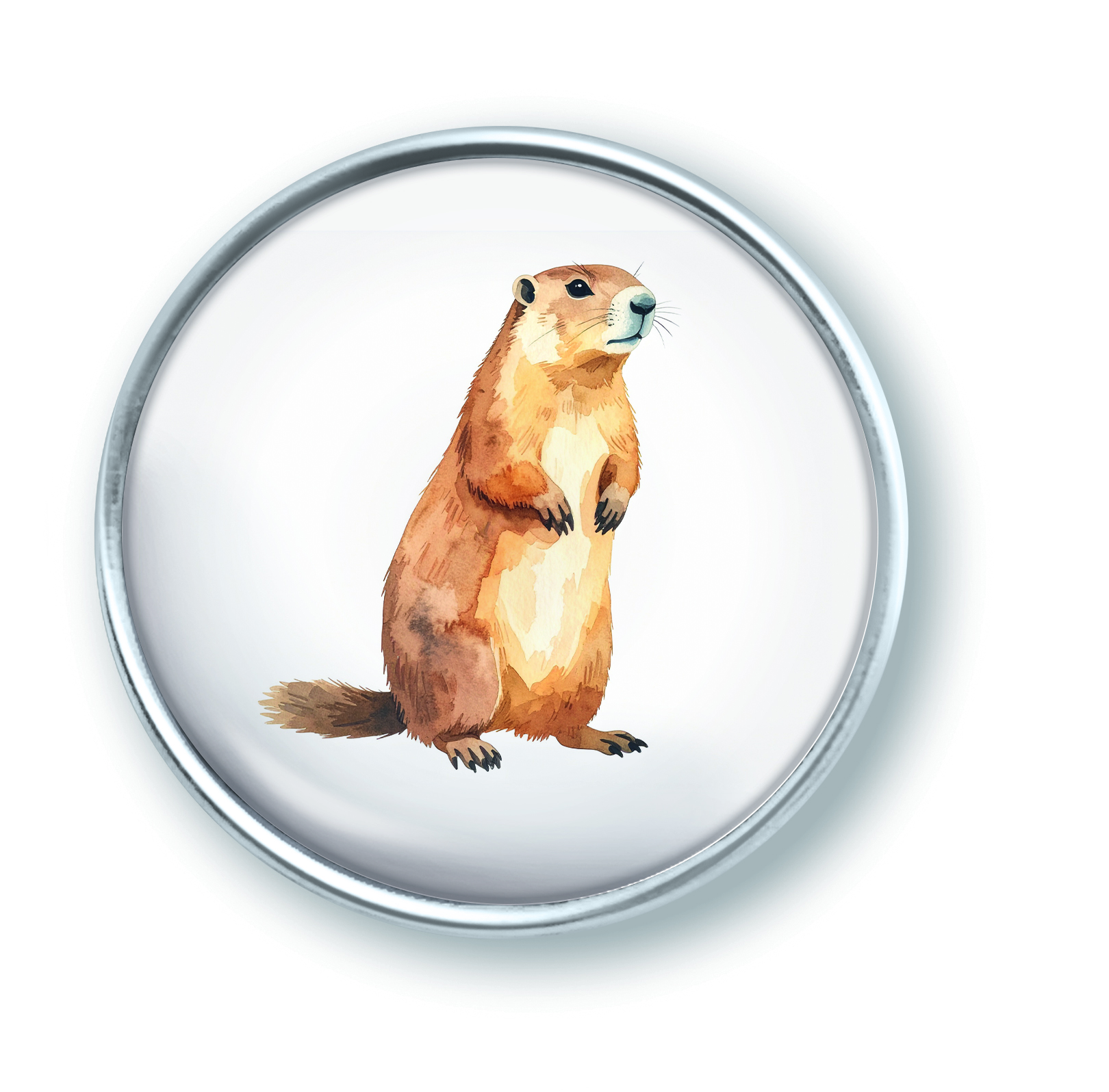 Artikelbild 1 des Artikels “qles Click Murmeltier braun “