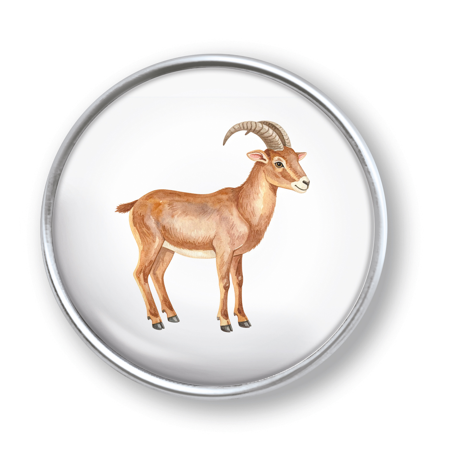 Artikelbild 1 des Artikels “qles Click Steinbock braun “